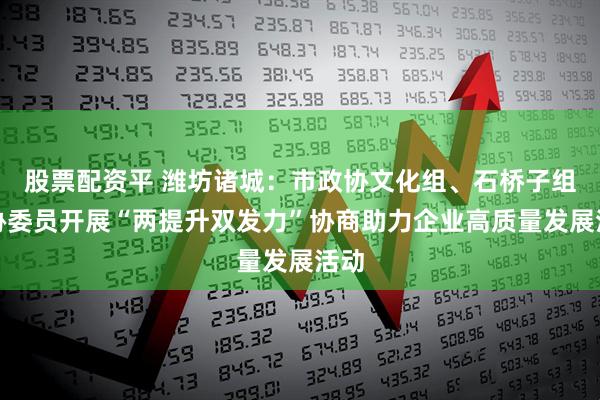 股票配资平 潍坊诸城：市政协文化组、石桥子组政协委员开展“两提升双发力”协商助力企业高质量发展活动